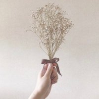 りょこ (@im_ryokoo) 's Twitter Profile