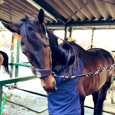 so2818705135's profile picture. 馬とバイクに乗る人。