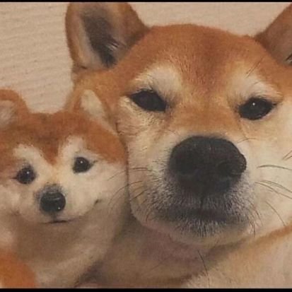 Yiwubuy2020's profile picture. 日本向けSP、ノベルティグッズの生産管理経験3年、買付代行経験4年。
現在は独立準備中、浙江省義烏在住、法人事務所&倉庫完備、日本語一級資格。
宜しくお願いします

Wechat: tmd20b