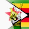 BetterZimbabwe3's profile picture. 