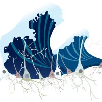 Marine Neuroscience Laboratory (MNL)(@MarineNeuroLab) 's Twitter Profile Photo