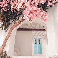 Sahar Madkhali (@missumomy) Twitter profile photo