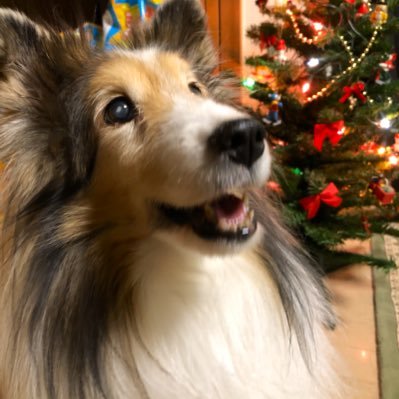 nijiwan822's profile picture. 