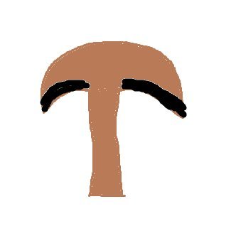 DrShroom1's profile picture. GM in my Heart