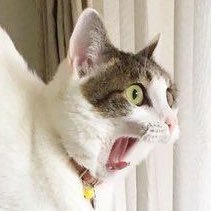 b3yondhope's profile picture. 𝙬𝙞𝙨𝙝𝙞𝙣𝙜 𝙤𝙣 𝙖 𝙨𝙘𝙖𝙧