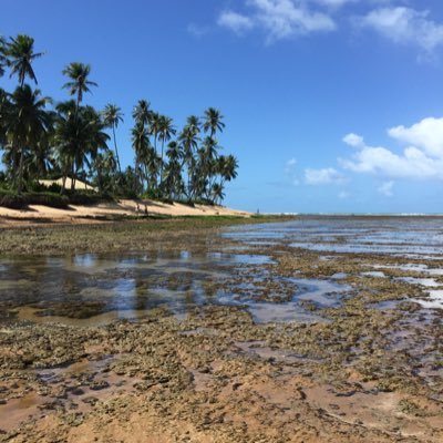 ThalysFranklyn's profile picture. 