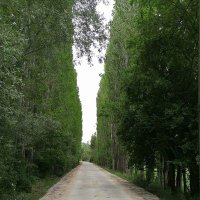 fethiye ölüdeniz ful aktif 🕺🚶‍♂️ (@fethiyefethiye5) Twitter profile photo