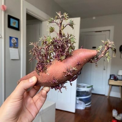 DanStatesSTEM's profile picture. Teaching High School Science. Pursuing my Master's in Education