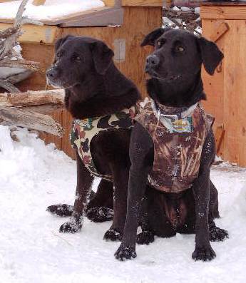 mdweitzel's profile picture. 