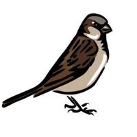London Bird Club(@LondonBirdClub) 's Twitter Profile Photo