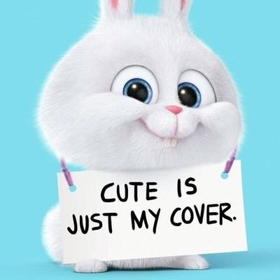 shallyola's profile picture. living my best life