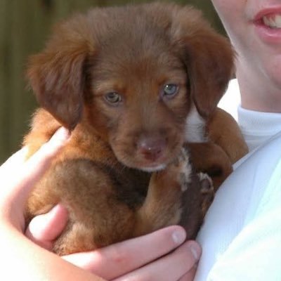 PeggyLeuze's profile picture. 