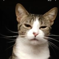 David Barrows (@davidbarrows18) 's Twitter Profile