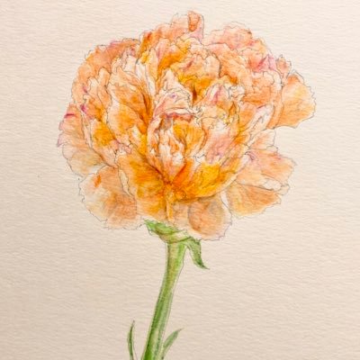 雪之達磨さんのプロフィール画像
