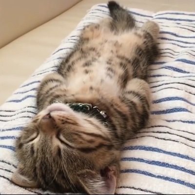 fallia50's profile picture. 