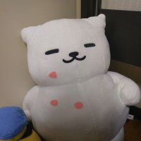 だー (@getwild2019) 's Twitter Profile