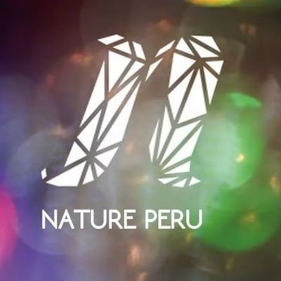 ¡Hola, somos una fanbase peruana dedicada al grupo rockie NATURE! 

INFORMACIÓN- TRADUCCIONES Y PROYECTOS