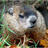 cypok25's profile image