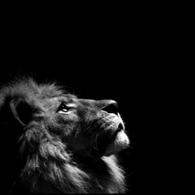 kmrdtc's profile picture. exo bbh ✨ hrj - captain leader boss #kmrdtcrv