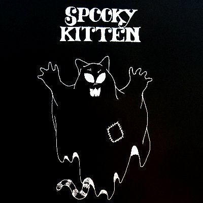 ENTERTAINMENT SKATING CONTENT EMO RAP ALTERNATIVE INDIE EDM Est OCT 2020. Midwest Based. All business inquiries: spookykittenrecords@gmail.com