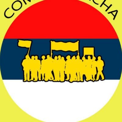 Comite_Marcha Profile Picture