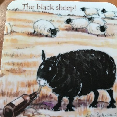 qkaz2's profile picture. 