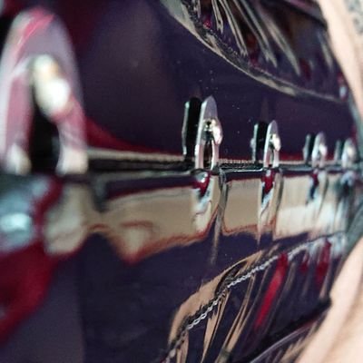 ropes, wax, rubber, canes, gags, more wax, nipples, corsets, heels.