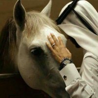 عبدالرحمن. (@dhmi__5) 's Twitter Profile