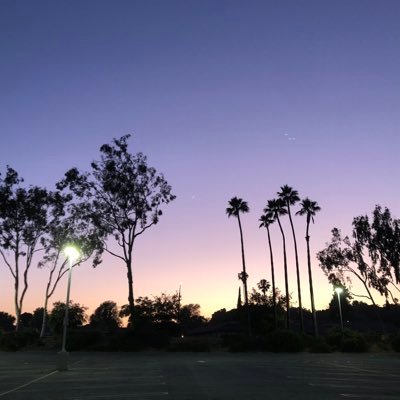 waterding01's profile picture. 