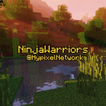 TheNinjaWarriors - Hypixel Guild Profile