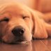 RelaxChannel (@relaxvidchannel) Twitter profile photo RelaxChannel (@relaxvidchannel) Twitter profile photo