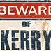 Kerry the Cause-monaut (she/her) (@KerryBear8) Twitter profile photo