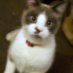 ROBERT GRIFFITHS (@robert12772279) Twitter profile photo