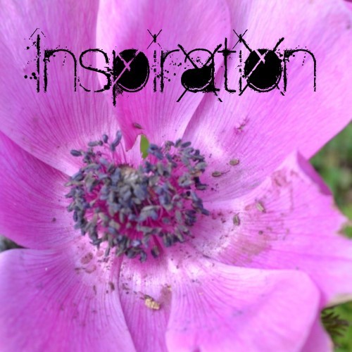 I have inspirational creations. I hope to inspire! My photography, poetry and inspirations are at my Zazzle store and at Squidoo. They are also at Imagekind