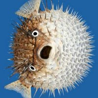 Carl (@rationalcarl) 's Twitter Profile Photo Carl (@rationalcarl) 's Twitter Profile Photo