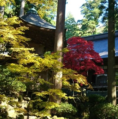 mjmj1197737444's profile picture. 主力銘柄/🇺🇸MO/BTI/JEPQ🇯🇵三菱商事/INPEX/2865　積立NISA/オルカン 特定口座/世界のベスト