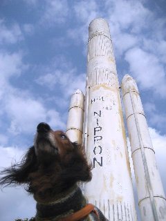 ノンフィクション作家。 『愛犬王 平岩米吉伝』で第12回小学館ノンフィクション大賞受賞・ヤマケイ文庫 愛犬王 平岩米吉 「日本を代表する犬奇人」と呼ばれた男 →https://t.co/fF3rNWSGy2 『セカンドキャリア 引退競走馬をめぐる旅 』→https://t.co/WM7vN5NYho