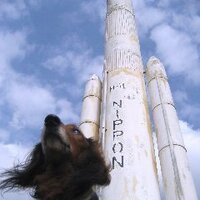 片野ゆか『セカンドキャリア 引退競走馬をめぐる旅』2023/12/5刊行 (@yukadalma) 's Twitter Profile Photo