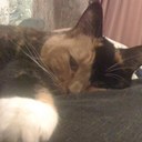 sam nightingale - @samjamPS3 - Twitter