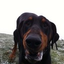 Harvey Blake - @HarveyBlake01 - Twitter