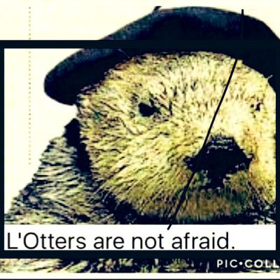 lottersresist's profile picture. 