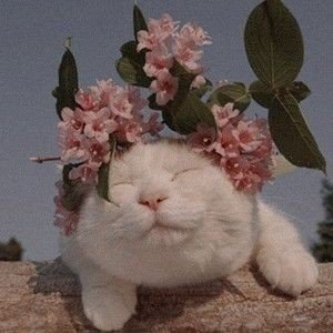 bleh (hiactus)さんのプロフィール画像