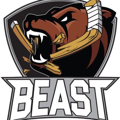 BEAST_SERIES Profile Picture