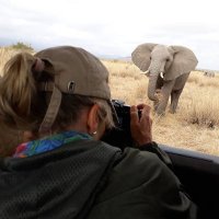 The Travel Writers Trips, Tips and Pics(@TTW_TTP) 's Twitter Profile Photo