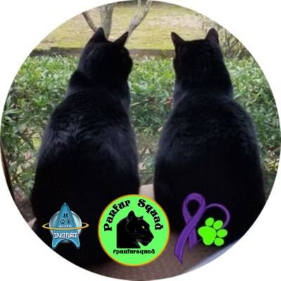 Two sassy cat sisters. Proud members of the #Purrsistance.
News Ninjas for FishFeedNews™️
Recruiters for #SpaceFurce
#Ambassacats #MeowStrong🍠