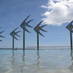 Cairns Now (@cairnsnow) Twitter profile photo