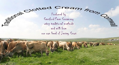 Dairy Farmer with own processing unit. New Mum. Produce traditional cornish clotted cream using milk produced by our Jersey Cows.