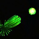 Richard Mutton - @richard_mutton - Twitter