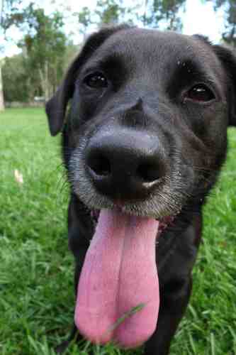 dw___c's profile picture. 