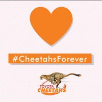 #RugbyCheetah(@rugbycheetah) 's Twitter Profile Photo